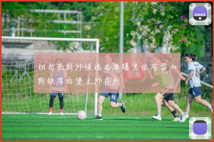 切尔西新帅候选名单曝光法布雷加斯缺席白堡主帅在列