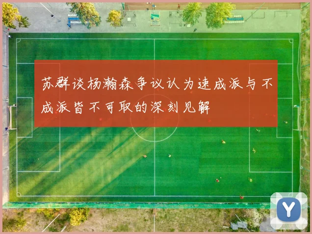 苏群谈杨瀚森争议认为速成派与不成派皆不可取的深刻见解
