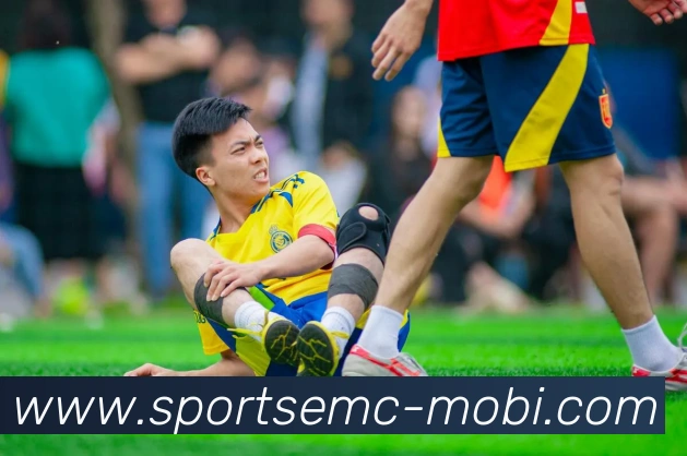 易倍体育平台生态图