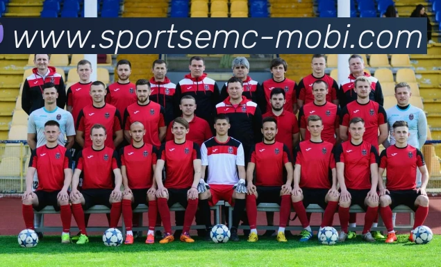 易倍体育APP 封面图