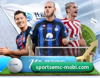 易倍体育 APP(EMCSPORTS)